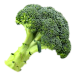 Капуста брокколи