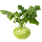 Капуста кольраби