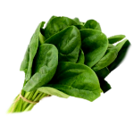 Шпинат