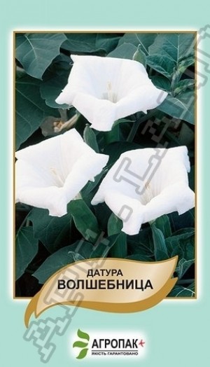 Датура Чарівниця біла 20нас