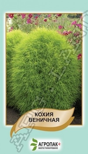 Кохия Веничная 0,1г