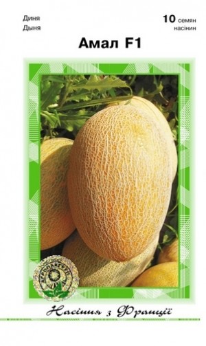 Амал F1 10 нас