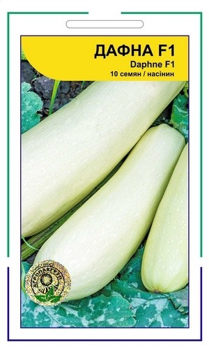 Дафна F1 10 нас
