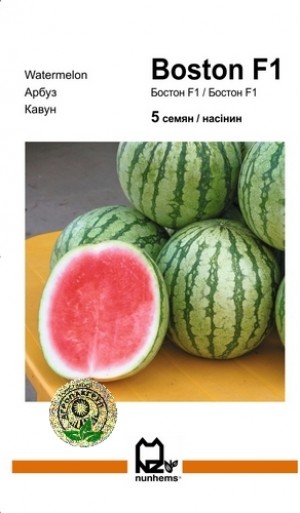 Бостон F1 5 нас
