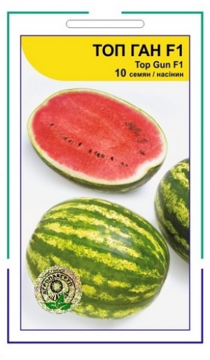 Топ Ган F1 10 нас