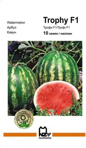 Трофі F1 10 нас