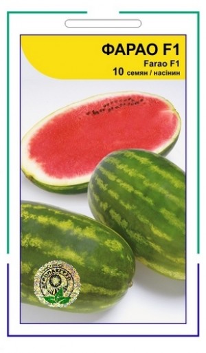Фарао F1 10 нас