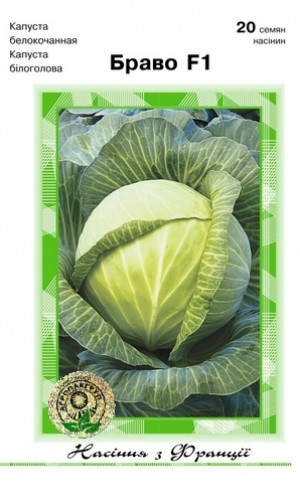 Браво F1 20 нас