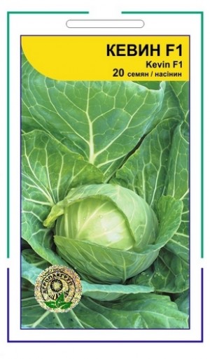 Кевін F1 20 нас