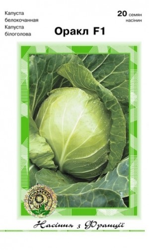 Оракл F1 20 нас