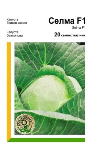 Селма F1 20 нас