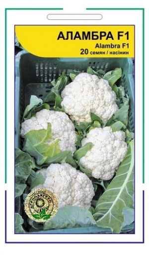 Аламбра F1 20 нас