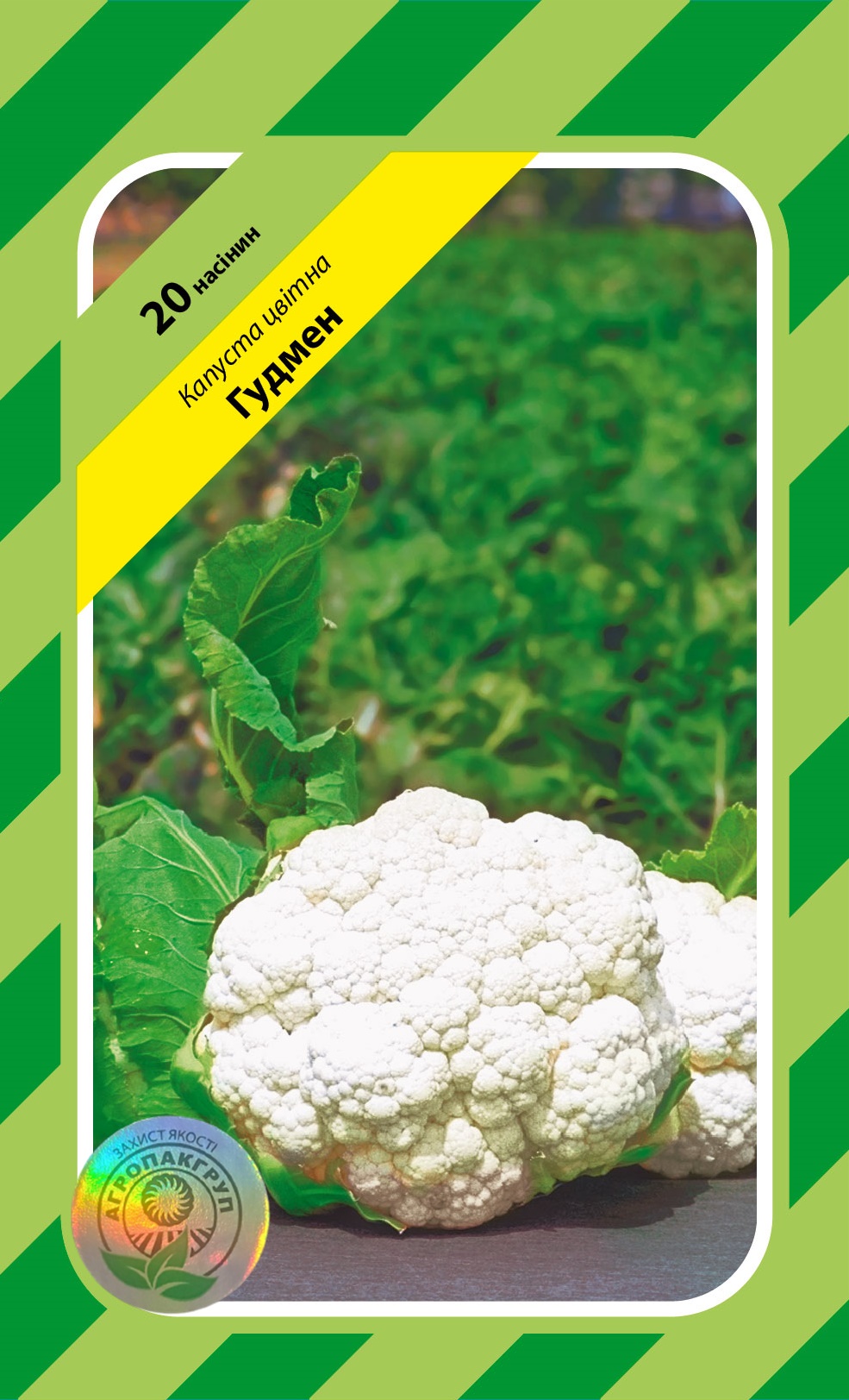 Гудмен F1 20 нас