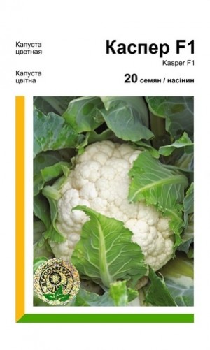 Каспер F1 20 нас