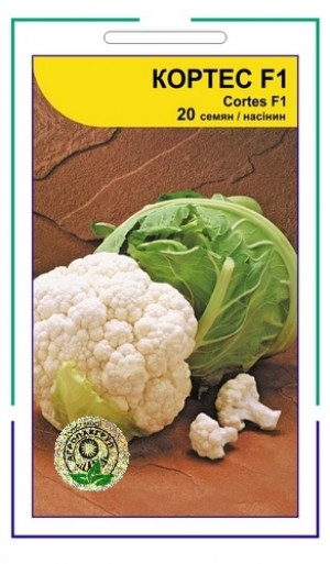 Кортес F1 20 нас