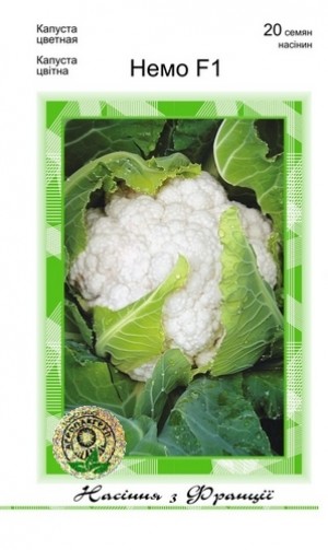 Немо F1 20 нас