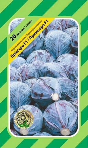 Примьеро F1 20 нас