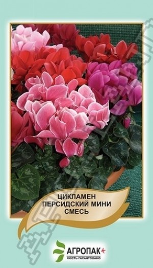 Цикламен персидський суміш 10 нас