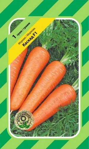 Каскад F1 1 гр