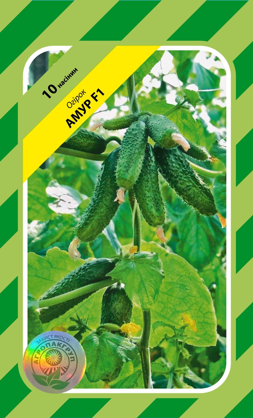 Амур F1 10 нас