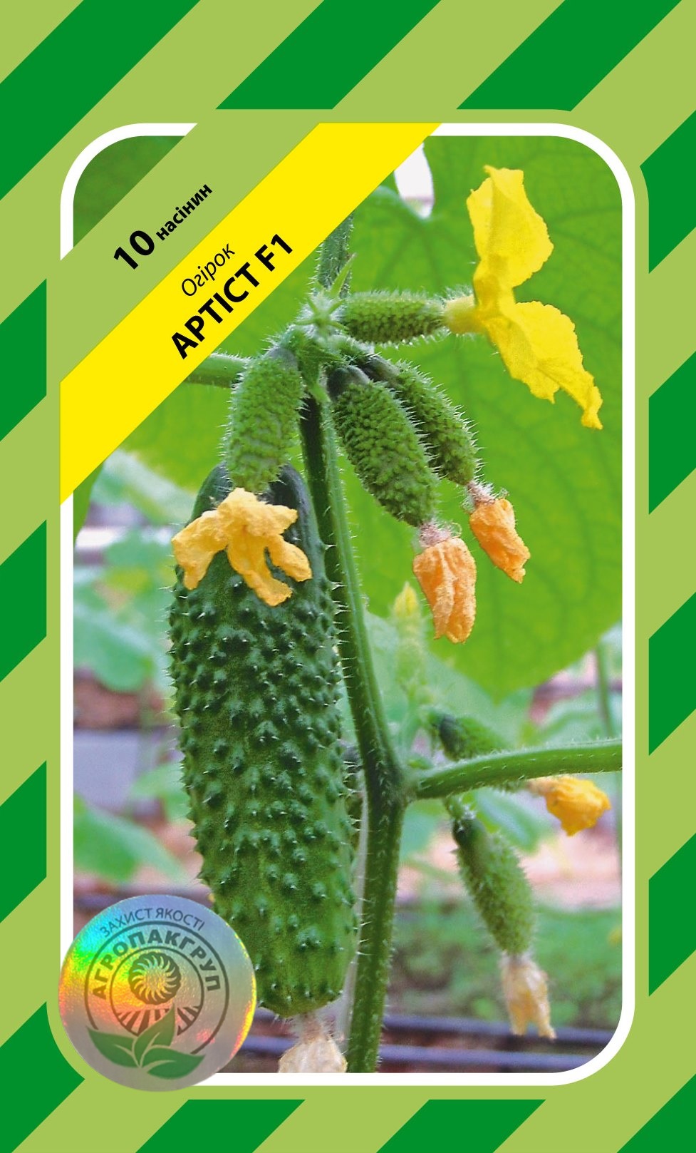 Артист (Артіст) F1 10 нас