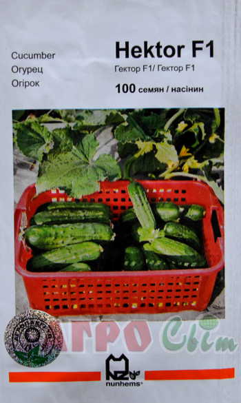 Гектор F1 100 нас