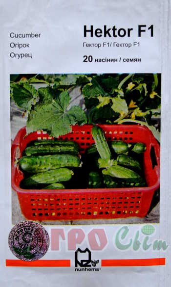 Гектор F1 20 нас