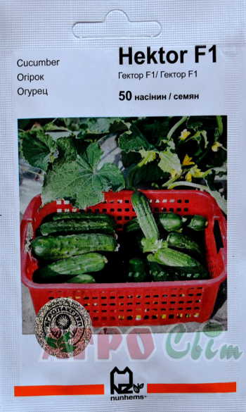 Гектор F1 50 нас