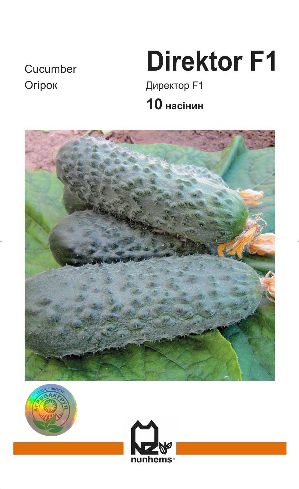 Директор F1 10 нас