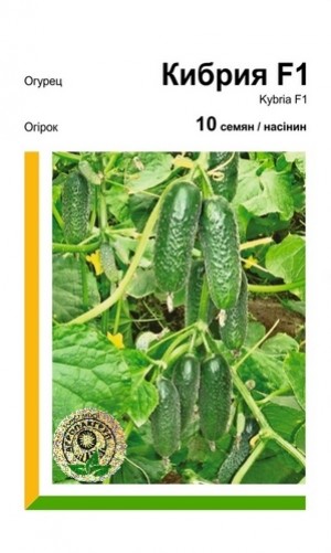 Кібрія F1 10 нас