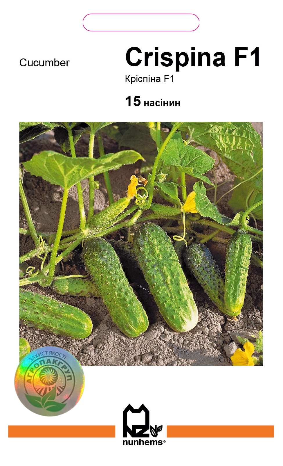 Кріспіна F1 15 нас