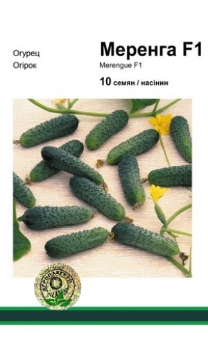 Меренга F1 10 нас