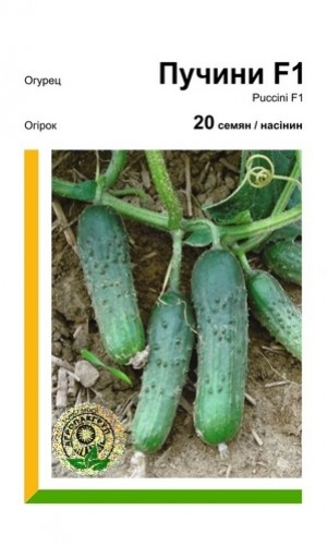 Пучіні F1 20 нас