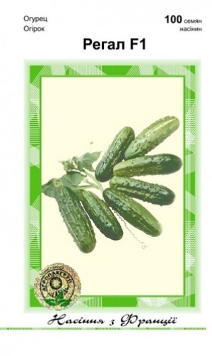 Регал F1 100 нас