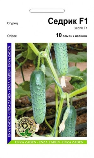 Седрік F1 10 нас