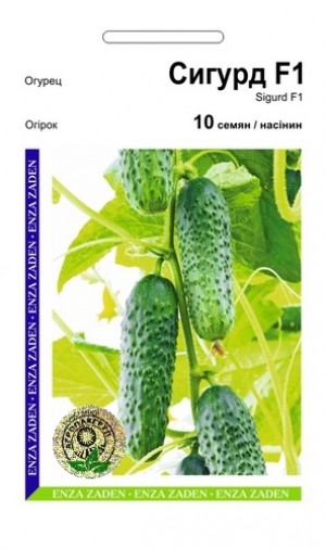 Сігурд F1 10 нас