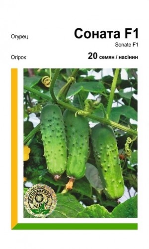 Соната F1 20 нас