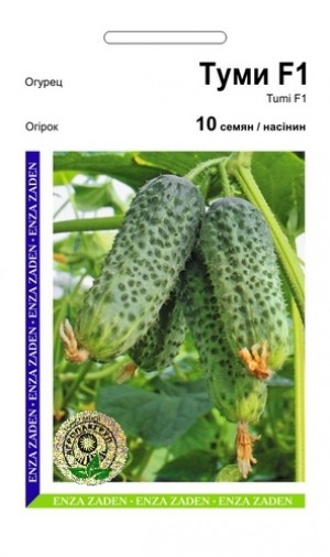 Тумі F1 10 нас