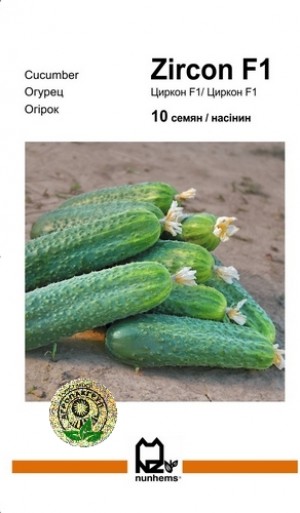 Циркон F1 10 нас