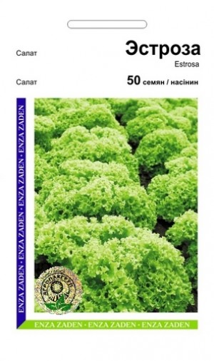 Естроза 50 нас