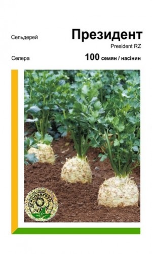 Президент 100 нас