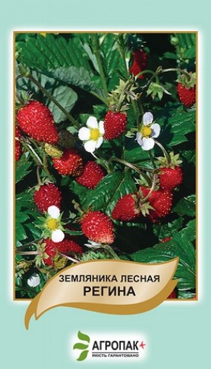 Регіна 0,1 гр