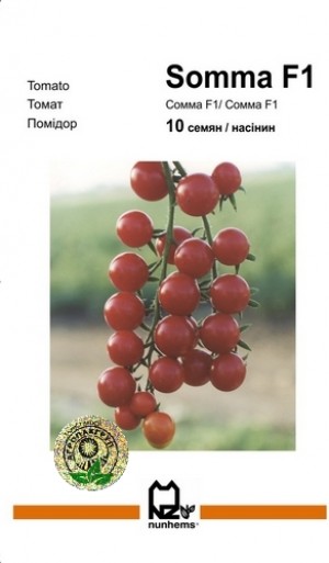 Сомма F1 10 нас