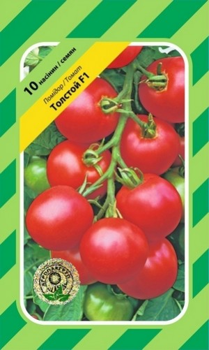 Толстой F1 10 нас