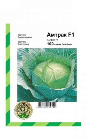 Амтрак 100 нас