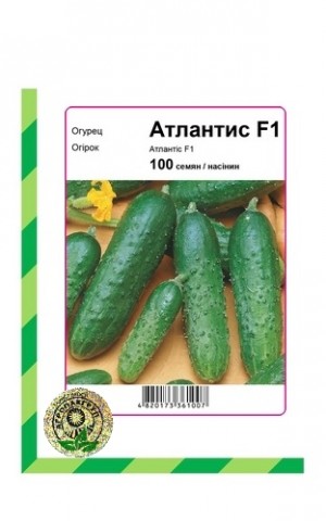 Атлантіс 100 нас