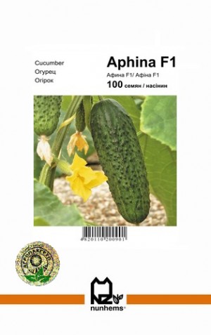 Афіна 100 нас