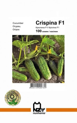 Кріспіна 100 нас