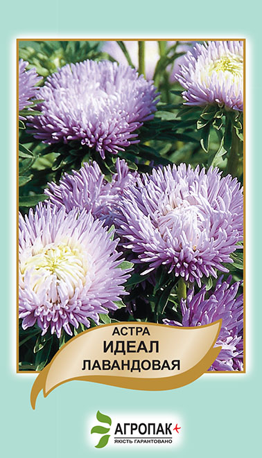 Ідеал 0,1 гр лавандова