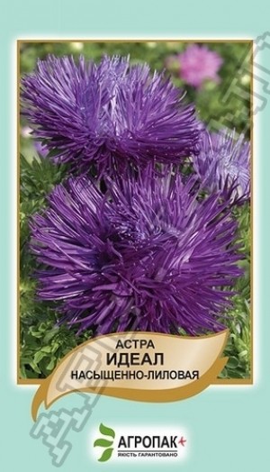 Ідеал 0,1 гр нас.-лілова